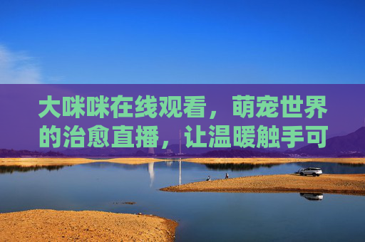 大咪咪在线观看,萌宠世界的治愈直播,让温暖触手可及,萌宠治愈直播,大咪咪的温暖触手可及 大咪咪在线观看,萌宠世界的治愈直播,让温暖触手可及,萌宠治愈直播,大咪咪的温暖触手可及