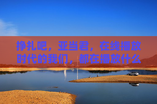挣扎吧,亚当君,在线播放时代的我们,都在播放什么? 挣扎吧,亚当君,在线播放时代的我们,都在播放什么?