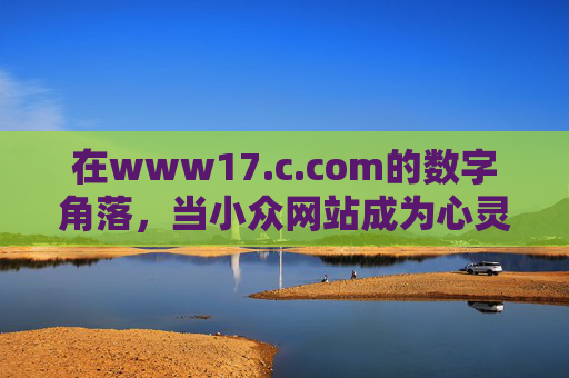 在www17.c.com的数字角落，当小众网站成为心灵的秘密花园，小众网站，数字角落的心灵秘密花园