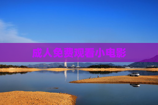 成人免费观看小电影