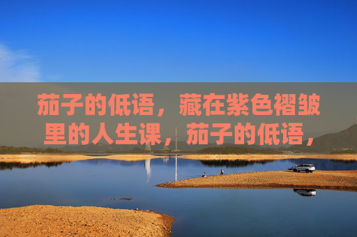 茄子的低语，藏在紫色褶皱里的人生课，茄子的低语，紫色褶皱里的人生课