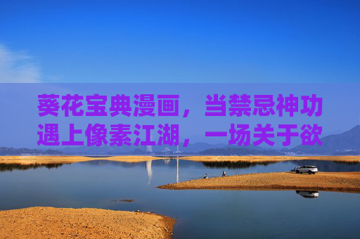 葵花宝典漫画，当禁忌神功遇上像素江湖，一场关于欲望与代价的视觉狂欢，禁忌神功×像素江湖，欲望的狂欢代价