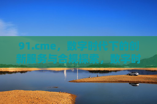 91.cme，数字时代下的创新服务与合规探索，数字时代下91.cme的创新服务与合规探索
