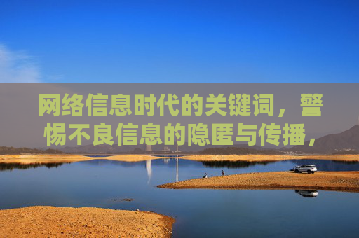网络信息时代的关键词，警惕不良信息的隐匿与传播，警惕网络信息时代不良信息的隐匿与传播