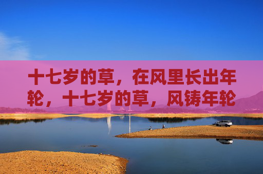 十七岁的草，在风里长出年轮，十七岁的草，风铸年轮