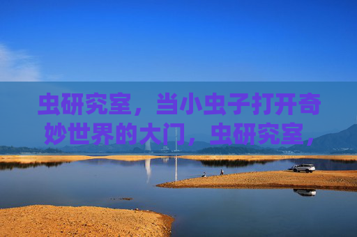 虫研究室，当小虫子打开奇妙世界的大门，虫研究室，小虫子的奇妙世界之门
