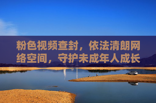 粉色视频查封，依法清朗网络空间，守护未成年人成长防线，查封涉黄视频 依法清朗网络 守护未成年人成长