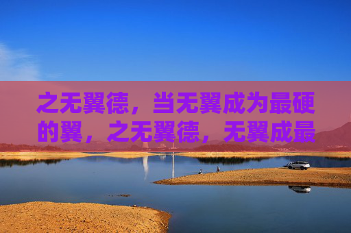 之无翼德，当无翼成为最硬的翼，之无翼德，无翼成最硬之翼