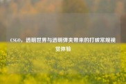 CSGO，透明世界与透明弹夹带来的打破常规视觉体验
