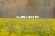 PUBG单排征服沙漠地图