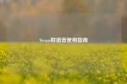 Steam群语音使用指南