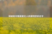 探秘和平精英里无人问津的好听名字