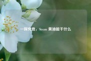 一探究竟，Steam 黄油能干什么