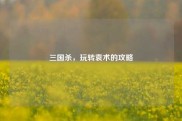 三国杀，玩转袁术的攻略