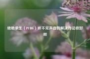 绝地求生（PUBG）听不见声音的解决办法收好啦