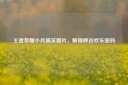 王者荣耀小兵搞笑图片，解锁峡谷欢乐密码