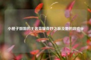 小橙子姐姐的王者荣耀奇妙之旅及她的游戏ID