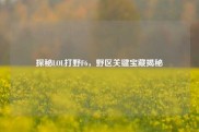 探秘LOL打野F6，野区关键宝藏揭秘