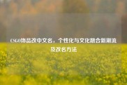 CSGO饰品改中文名，个性化与文化融合新潮流及改名方法