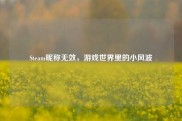 Steam昵称无效，游戏世界里的小风波
