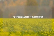 一文了解PUBG中打开背包的按键