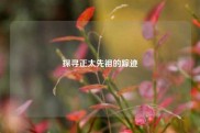 探寻正太先祖的踪迹