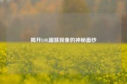 揭开LOL圈婊现象的神秘面纱