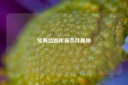 炫舞结婚所需条件揭秘