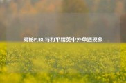 揭秘PUBG与和平精英中外单透现象