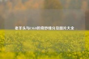 老羊头与CSGO的奇妙缘分及图片大全