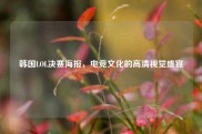 韩国LOL决赛海报，电竞文化的高清视觉盛宴