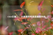 CSGO主播zzw，小镇里的电竞直播新风尚