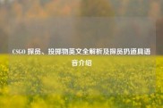 CSGO 探员、投掷物英文全解析及探员扔道具语音介绍