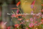 Magic Steam: The Enchanting Power of Vapor