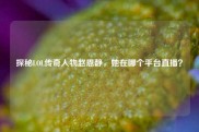 探秘LOL传奇人物赵恩静，她在哪个平台直播？
