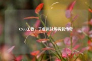 CSGO王者，于虚拟战场铸就传奇