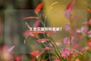 王者荣耀阿柯是谁？