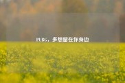 PUBG，多想留在你身边