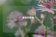 希望的黎明