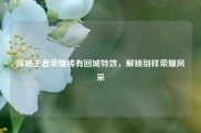 探秘王者荣耀稀有回城特效，解锁别样荣耀风采