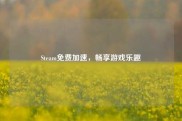 Steam免费加速，畅享游戏乐趣