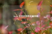 Steam 文件打开的全面攻略
