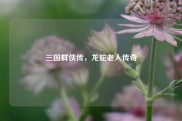 三国群侠传，龙蛇老人传奇