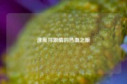 速度与激情的热血之旅
