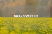 探秘黑色念气的获取途径