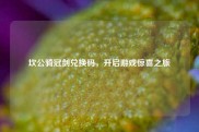 坎公骑冠剑兑换码，开启游戏惊喜之旅