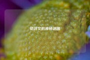 劫符文的神秘谜团
