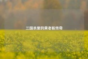 三国杀里的黄老板传奇