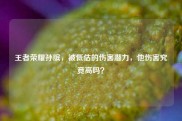 王者荣耀孙膑，被低估的伤害潜力，他伤害究竟高吗？