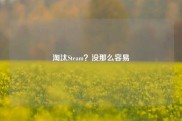 淘汰Steam？没那么容易